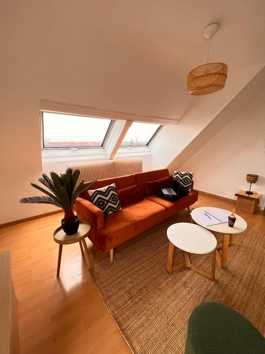 Balneo, Lumineux, Confort Colmar Exterior photo